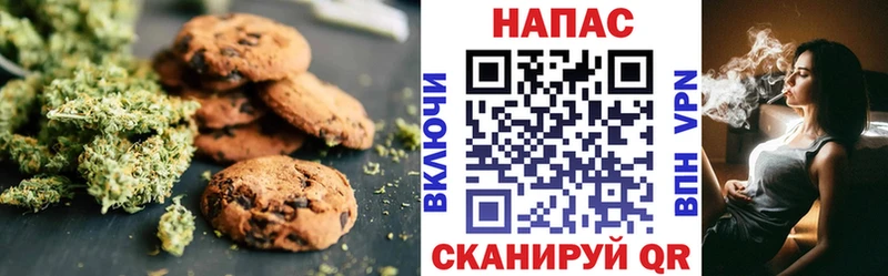 Canna-Cookies марихуана  OMG сайт  Новотроицк 