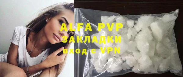 молекула духа Надым
