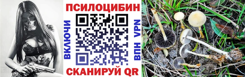 Галлюциногенные грибы прущие грибы Новотроицк
